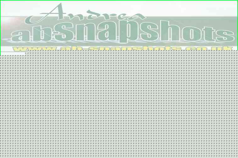 SW0508 A0676